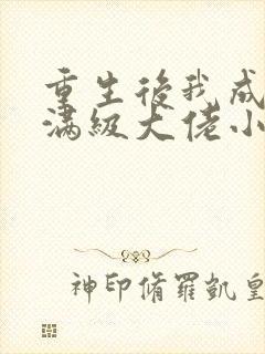 重生后我成为了满级大佬小说