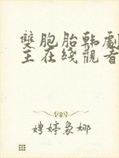 双胞胎韩剧双男主在线观看免费高清