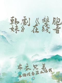 韩剧《双胞胎姐妹》在线看