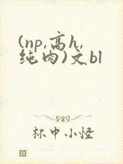 (np,高h,纯肉)文bl