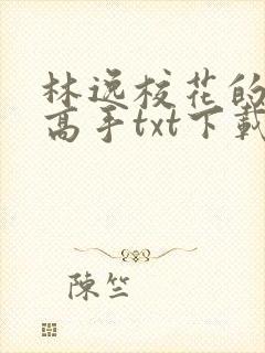 林逸校花的贴身高手txt下载