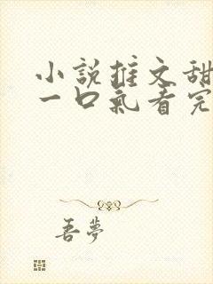 小说推文甜宠文一口气看完