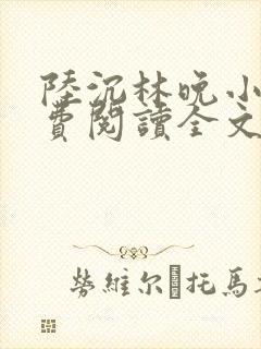 陆沉林晚小说免费阅读全文最新章节