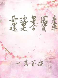 奇瑞是国产车吗还是合资车