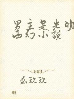 男主是光明神的西幻小说