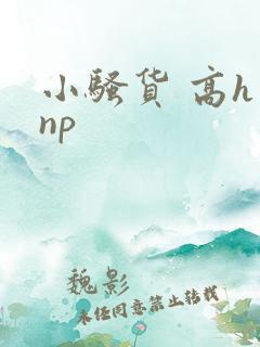 小骚货 高h np