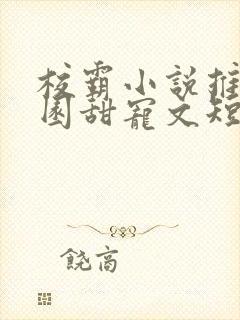 校霸小说推荐校园甜宠文短篇