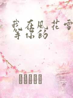 我在风花雪月里等你的