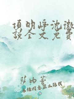 项明峥沈徽林小说全文免费