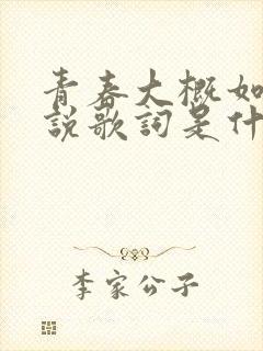 青春大概如你所说歌词是什么意思