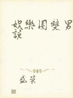 娱乐圈双男主小说