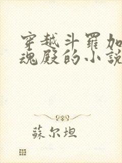 穿越斗罗加入武魂殿的小说