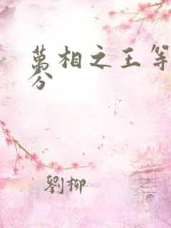 万相之王等级划分