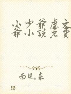 小少爷虐文鸿少爷小说免费阅读