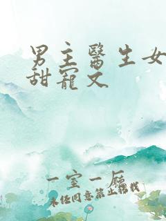 男主医生女追男甜宠文