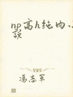 np高h纯肉小说