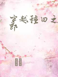 穿越种田之恶夫郎