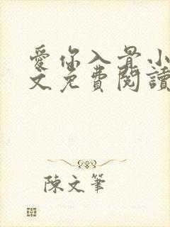 爱你入骨小说全文免费阅读