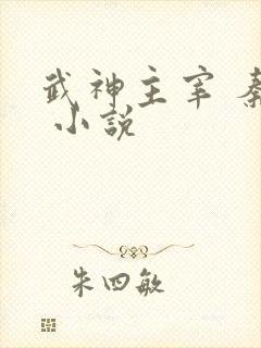 武神主宰 秦尘 小说