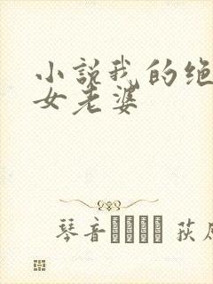 小说我的绝色美女老婆