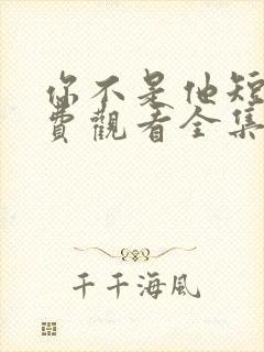 你不是他短剧免费观看全集高清版