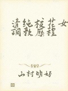 清纯校花女友的调教历程