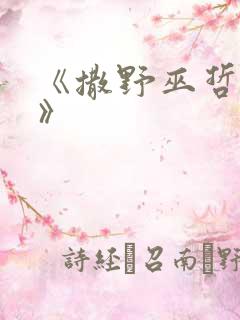 《撒野巫哲小说》