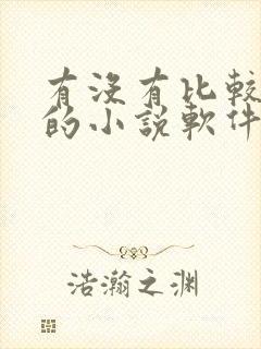 有没有比较好用的小说软件