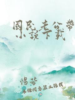 国民老公带回家 小说下载