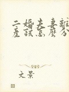 二婚夫妻离婚财产该怎么分割