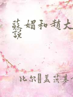 苏媚和赵大宝小说