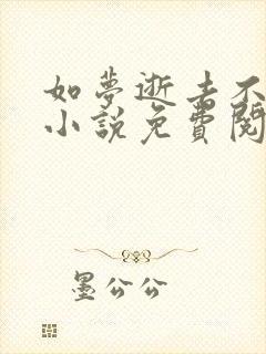 如梦逝去不可追小说免费阅读全文