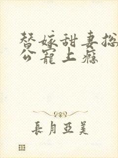 替嫁甜妻总裁老公宠上瘾