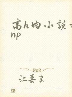 高h肉小说古言np