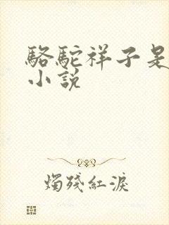 骆驼祥子是短篇小说