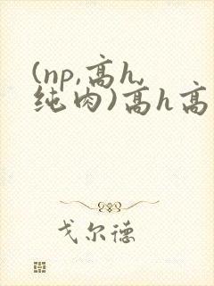 (np,高h,纯肉)高h高辣