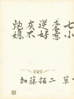 炮灰逆袭七零辣媳不好惹小说免费阅读