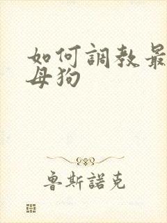 如何调教最骚的母狗