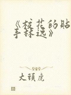 《校花的贴身高手林逸》