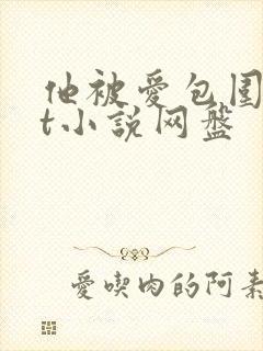 他被爱包围txt小说网盘