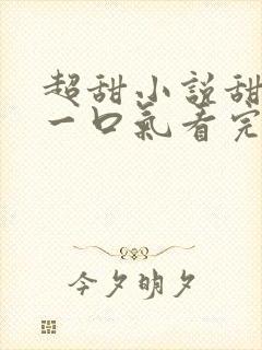 超甜小说甜宠文一口气看完