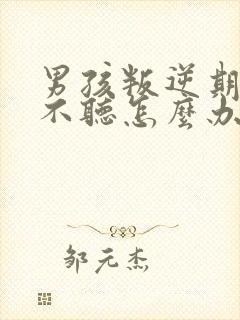 男孩叛逆期说了不听怎么办