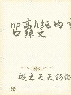 np高h纯肉重口辣文