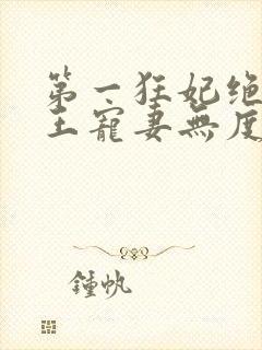 第一狂妃绝色邪王宠妻无度txt