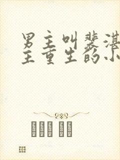 男主叫裴湛,女主重生的小说