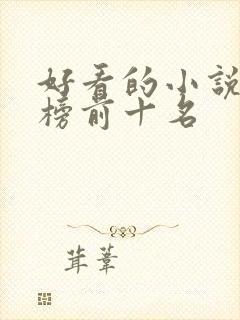 好看的小说排行榜前十名