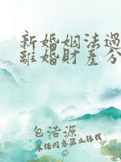 新婚姻法过错方离婚财产分割