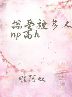 总受被多人玩弄np高h