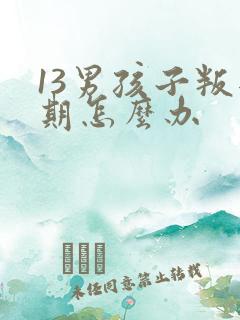 13男孩子叛逆期怎么办