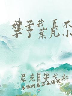 嫂子我真不是傻子了叶凡小说最新章节精校版